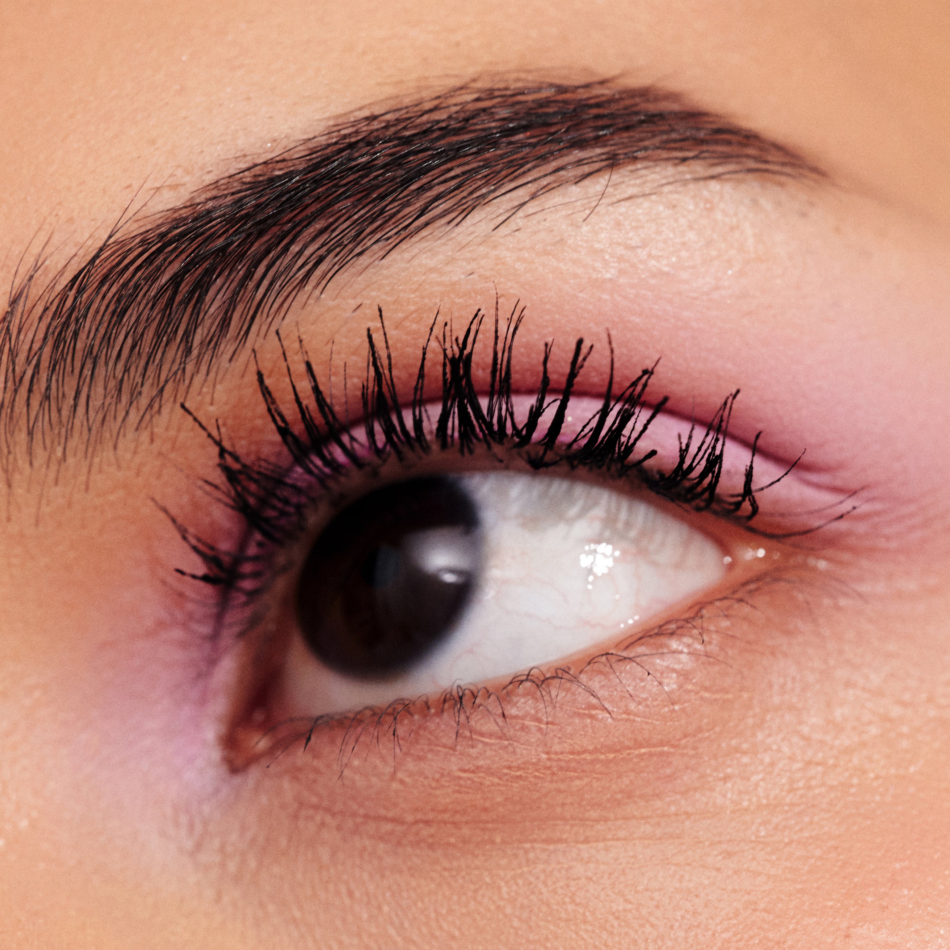 Rus mashhur porno Transseksual qin fotosurati